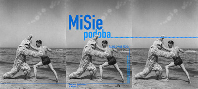 Agenda - MiSie Podoba
