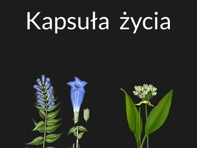 kapsula-zycia