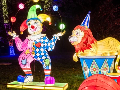 garden-of-lights