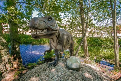 Agenda - Ścieżka dinozaurów