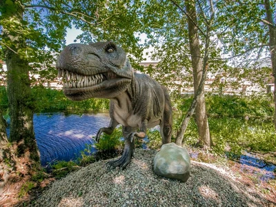 sciezka-dinozaurow