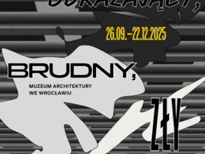 odrazajacy--brudny--zly