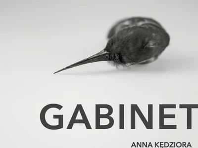 anna-kedziora-gabinet