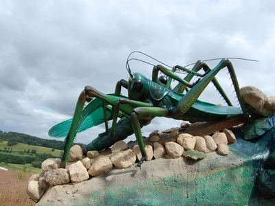 gigantyczne-owady