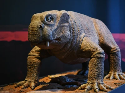 od-dinozaurow-do-czlowieka--historia-zycia-na-ziemi